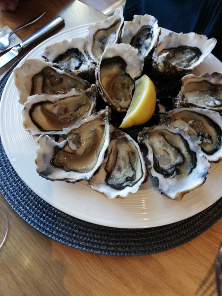 Ostriche Bretoni